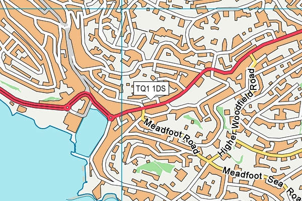TQ1 1DS map - OS VectorMap District (Ordnance Survey)