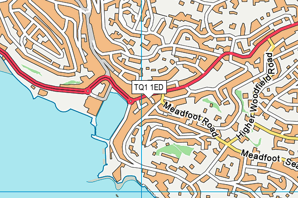 TQ1 1ED map - OS VectorMap District (Ordnance Survey)