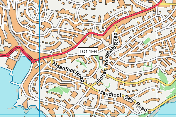 TQ1 1EH map - OS VectorMap District (Ordnance Survey)