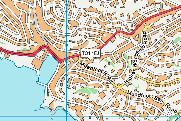 TQ1 1EJ map - OS VectorMap District (Ordnance Survey)