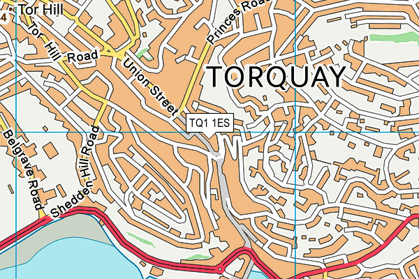 TQ1 1ES map - OS VectorMap District (Ordnance Survey)