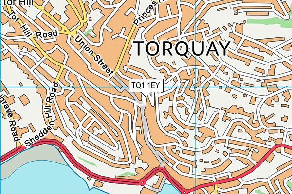 TQ1 1EY map - OS VectorMap District (Ordnance Survey)