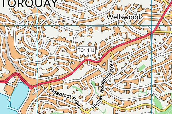 TQ1 1HJ map - OS VectorMap District (Ordnance Survey)