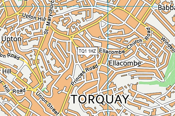 TQ1 1HZ map - OS VectorMap District (Ordnance Survey)