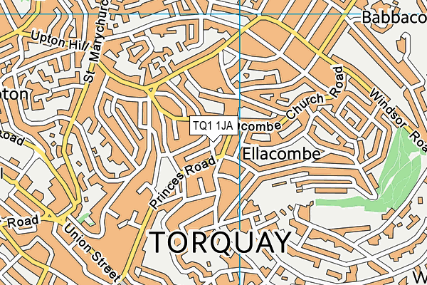 TQ1 1JA map - OS VectorMap District (Ordnance Survey)