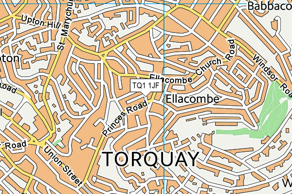 TQ1 1JF map - OS VectorMap District (Ordnance Survey)
