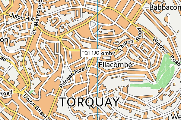 TQ1 1JG map - OS VectorMap District (Ordnance Survey)