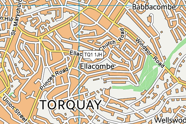 TQ1 1JH map - OS VectorMap District (Ordnance Survey)