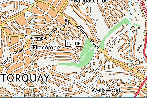 TQ1 1JN map - OS VectorMap District (Ordnance Survey)