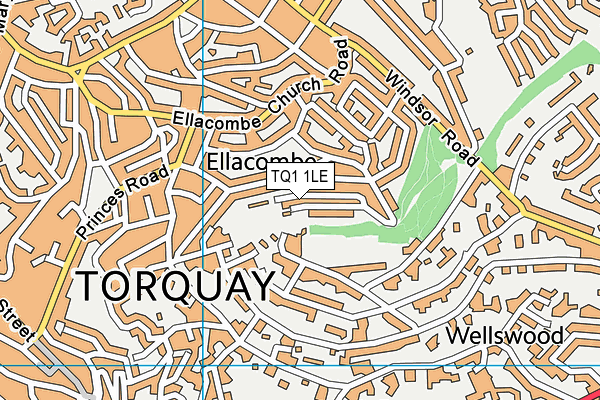 TQ1 1LE map - OS VectorMap District (Ordnance Survey)