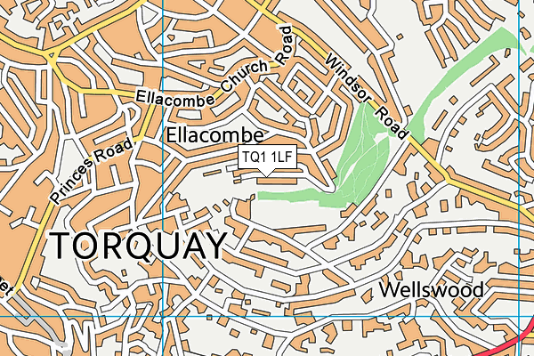 TQ1 1LF map - OS VectorMap District (Ordnance Survey)
