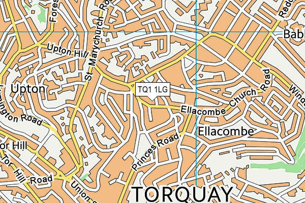 TQ1 1LG map - OS VectorMap District (Ordnance Survey)