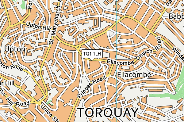 TQ1 1LH map - OS VectorMap District (Ordnance Survey)