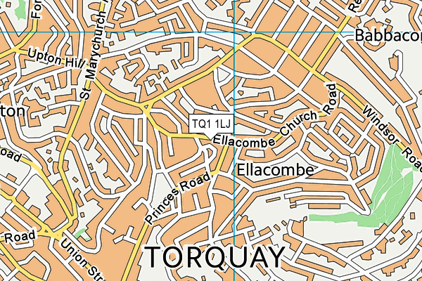TQ1 1LJ map - OS VectorMap District (Ordnance Survey)
