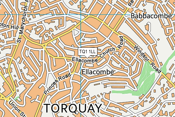 TQ1 1LL map - OS VectorMap District (Ordnance Survey)