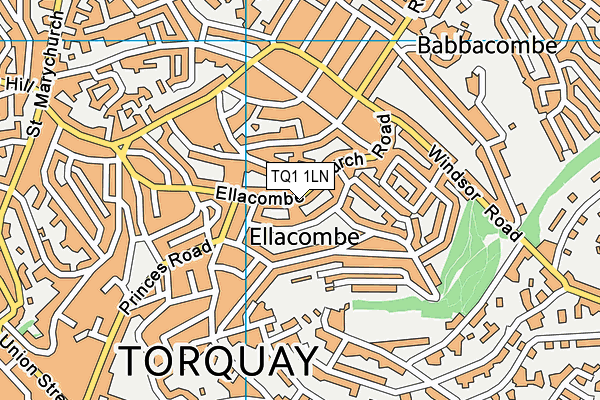 TQ1 1LN map - OS VectorMap District (Ordnance Survey)