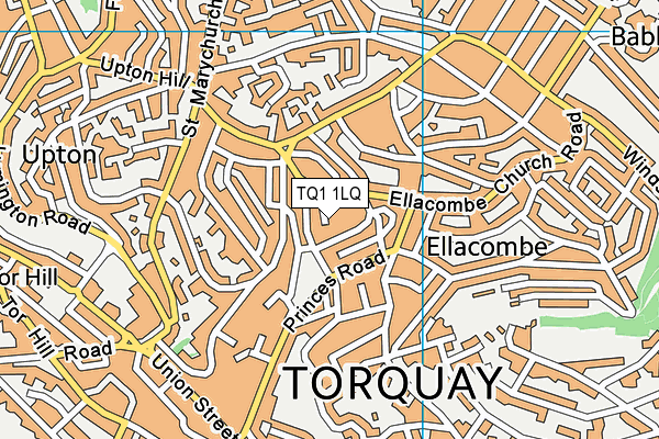TQ1 1LQ map - OS VectorMap District (Ordnance Survey)