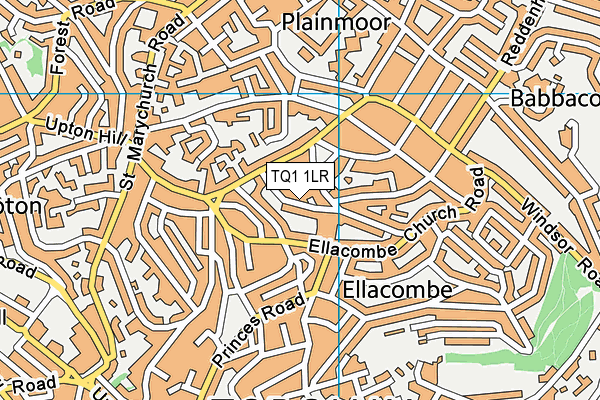 TQ1 1LR map - OS VectorMap District (Ordnance Survey)