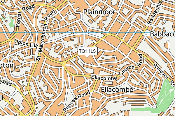 TQ1 1LS map - OS VectorMap District (Ordnance Survey)