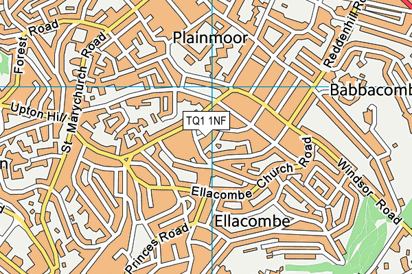 TQ1 1NF map - OS VectorMap District (Ordnance Survey)