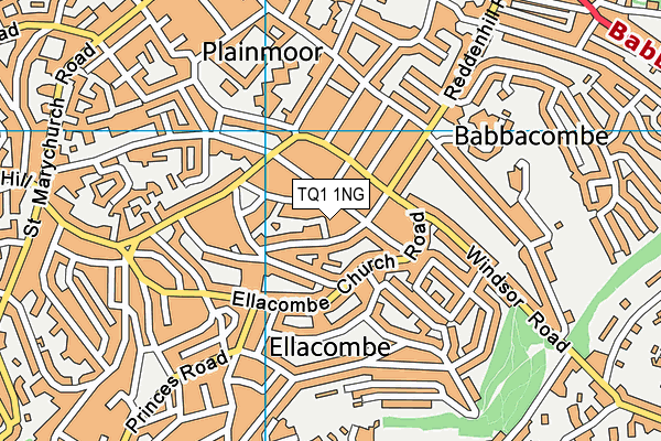 TQ1 1NG map - OS VectorMap District (Ordnance Survey)