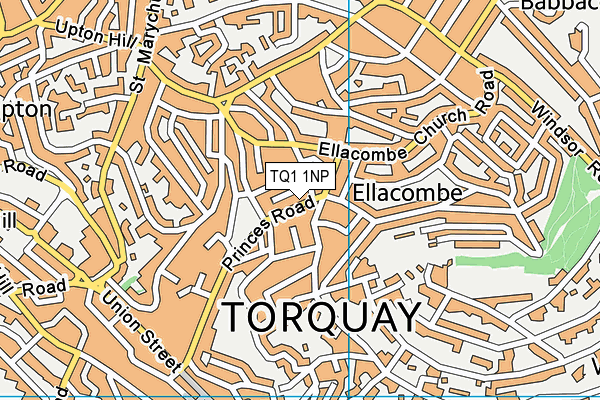TQ1 1NP map - OS VectorMap District (Ordnance Survey)