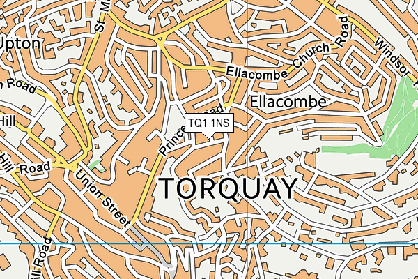 TQ1 1NS map - OS VectorMap District (Ordnance Survey)