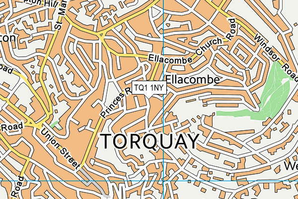 TQ1 1NY map - OS VectorMap District (Ordnance Survey)