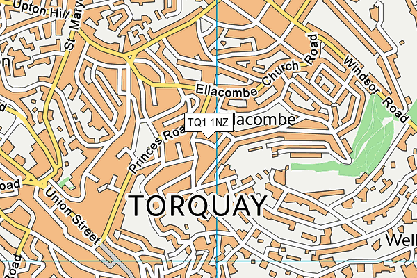 TQ1 1NZ map - OS VectorMap District (Ordnance Survey)