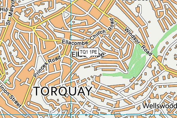 TQ1 1PE map - OS VectorMap District (Ordnance Survey)
