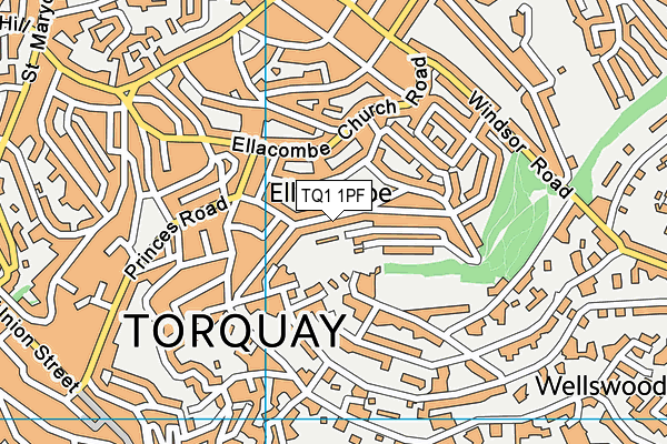 TQ1 1PF map - OS VectorMap District (Ordnance Survey)