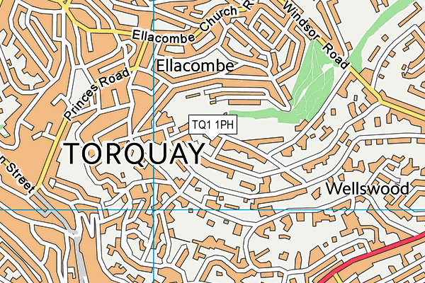 TQ1 1PH map - OS VectorMap District (Ordnance Survey)