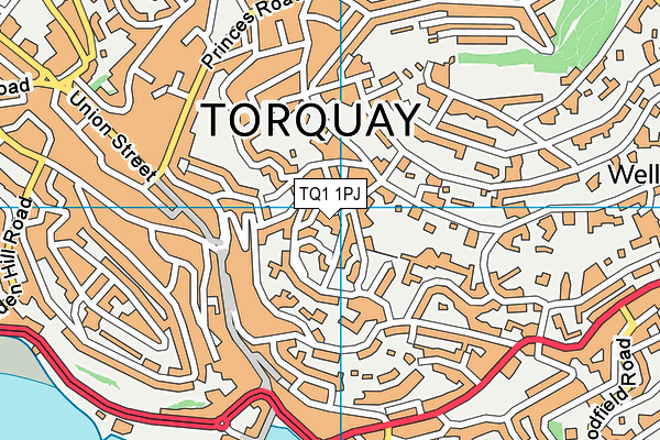 TQ1 1PJ map - OS VectorMap District (Ordnance Survey)