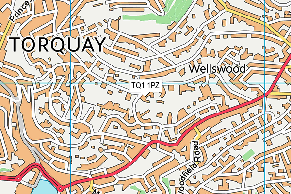 TQ1 1PZ map - OS VectorMap District (Ordnance Survey)