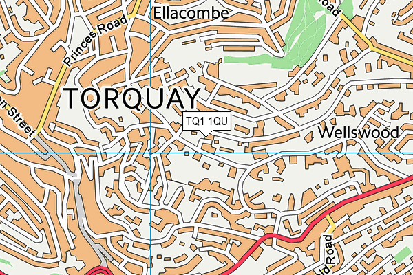 TQ1 1QU map - OS VectorMap District (Ordnance Survey)