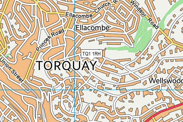 TQ1 1RH map - OS VectorMap District (Ordnance Survey)