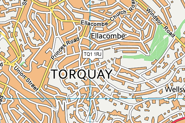 TQ1 1RJ map - OS VectorMap District (Ordnance Survey)