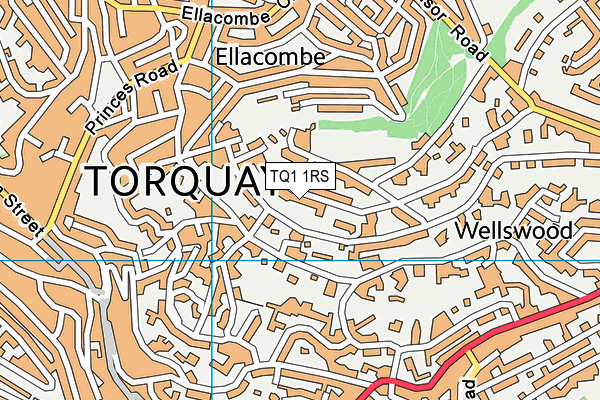 TQ1 1RS map - OS VectorMap District (Ordnance Survey)