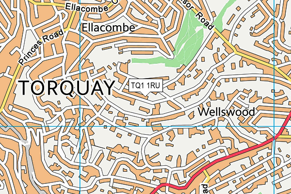 TQ1 1RU map - OS VectorMap District (Ordnance Survey)