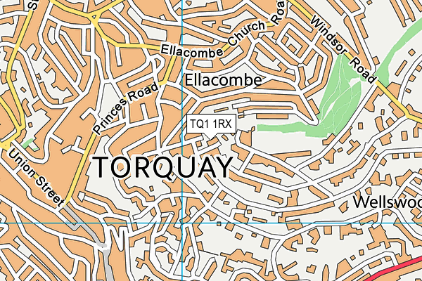 TQ1 1RX map - OS VectorMap District (Ordnance Survey)