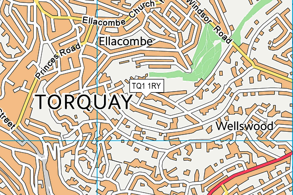 TQ1 1RY map - OS VectorMap District (Ordnance Survey)