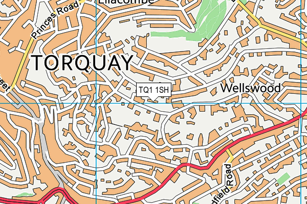 TQ1 1SH map - OS VectorMap District (Ordnance Survey)