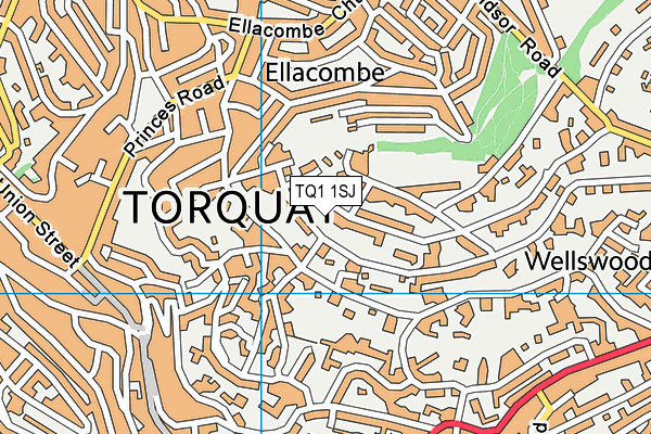 TQ1 1SJ map - OS VectorMap District (Ordnance Survey)