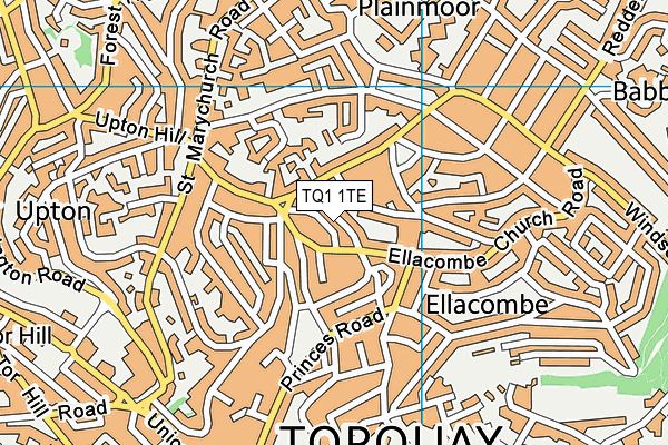 TQ1 1TE map - OS VectorMap District (Ordnance Survey)