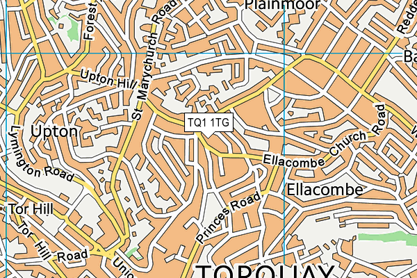 TQ1 1TG map - OS VectorMap District (Ordnance Survey)