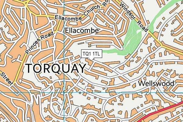 TQ1 1TL map - OS VectorMap District (Ordnance Survey)