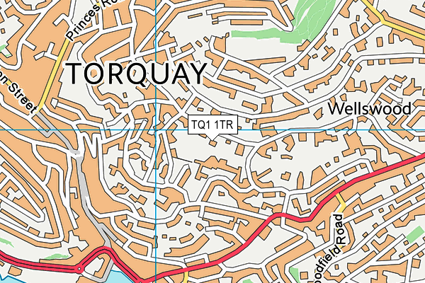 TQ1 1TR map - OS VectorMap District (Ordnance Survey)