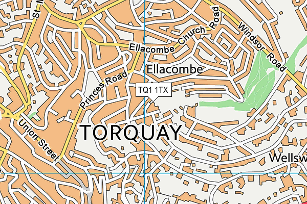 TQ1 1TX map - OS VectorMap District (Ordnance Survey)