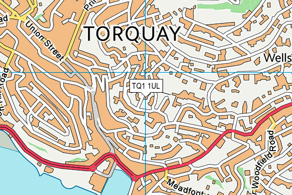 TQ1 1UL map - OS VectorMap District (Ordnance Survey)