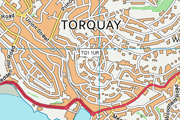 TQ1 1UR map - OS VectorMap District (Ordnance Survey)